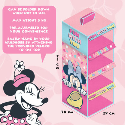 Foldable Disney Hanging Closet Organizer